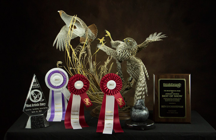 Best of Class - National Taxidermy Competition