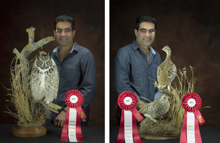 First Place - National Taxidermy Competition